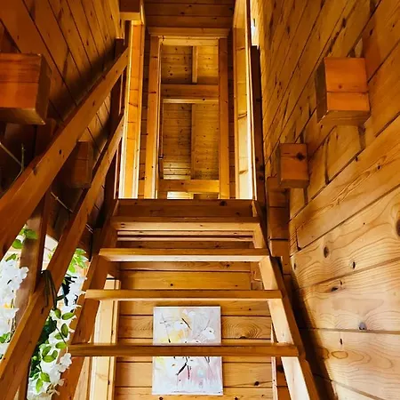 Entre Et Pistes De Chalet