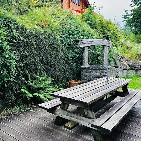 Entre Et Pistes De Chalet Gérardmer