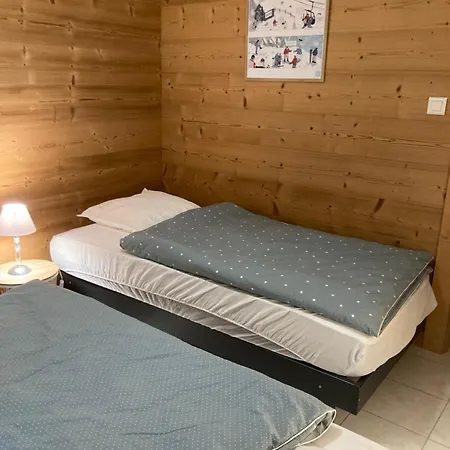 Entre Et Pistes De Chalet *