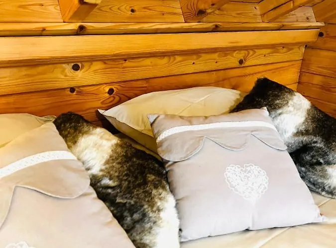 Chalet Entre Et Pistes De